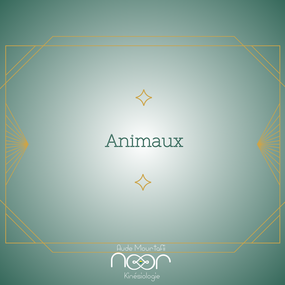Monde animal