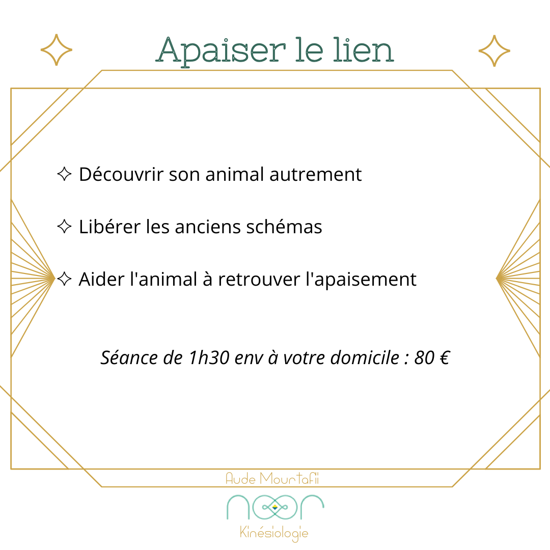 Apaiser le lien
